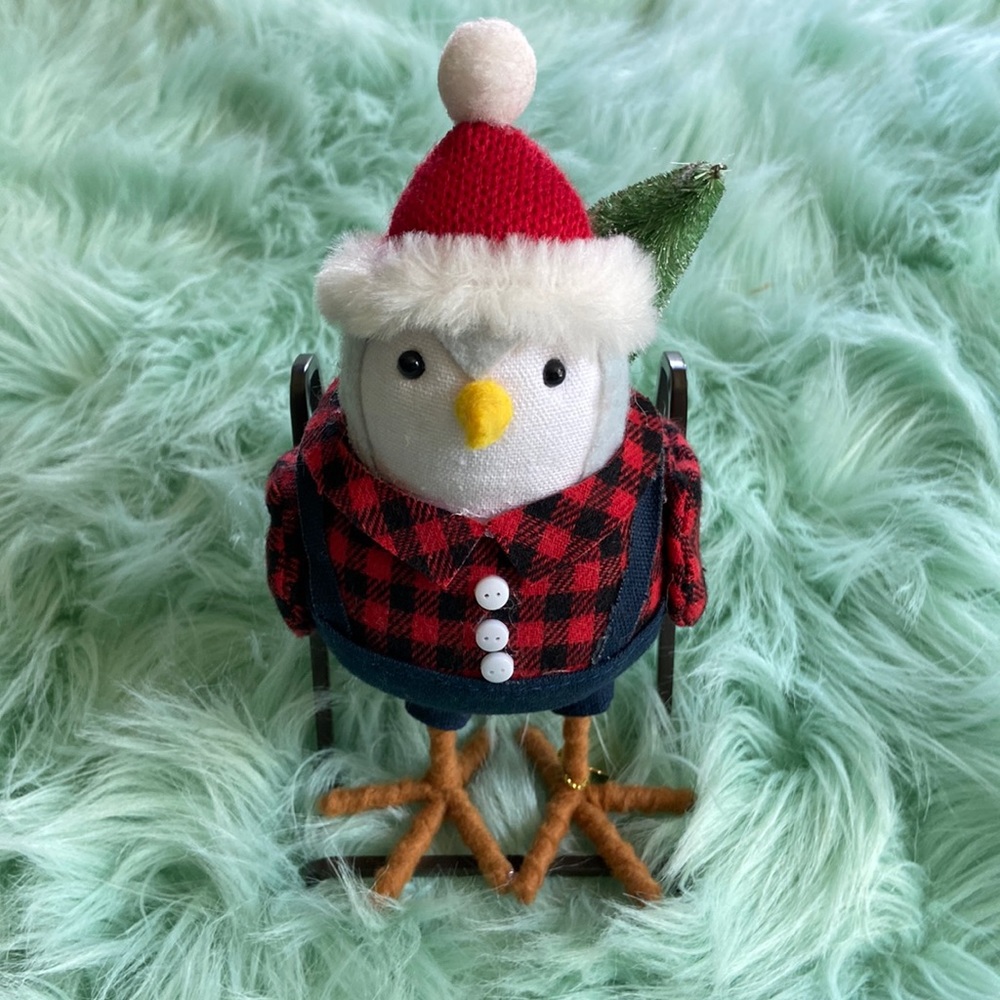 Target winter bird 2021 Clef